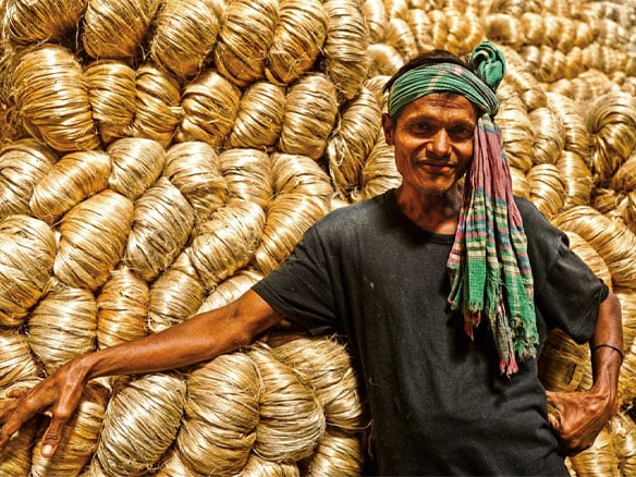 Why is Jute Called the Golden Fiber of Bangladesh
